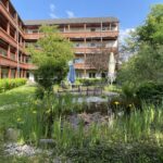 Helle u. gepflegte 2 und 3 Raum WE mit Balkon o. Terrasse im barrierefreien Betreuten Wohnen – Am Austelpark in Zwönitz